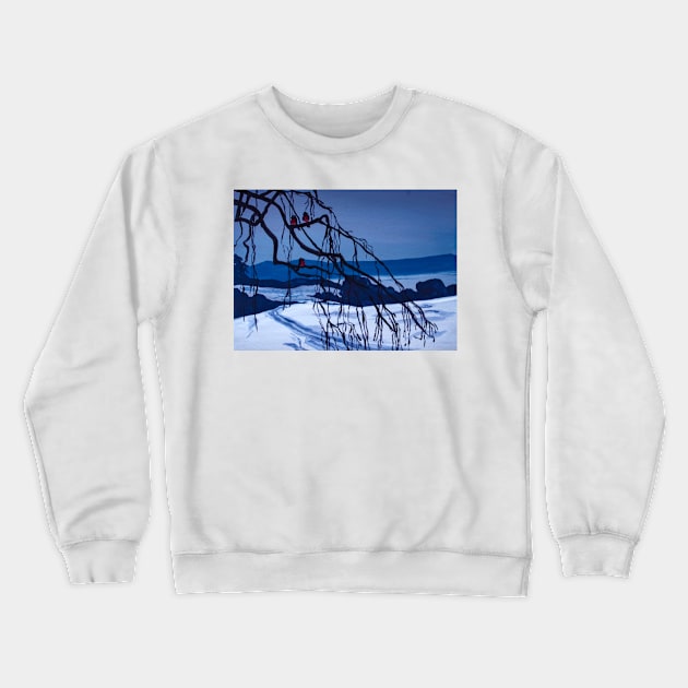 Bullfinches Crewneck Sweatshirt by JeLoTall